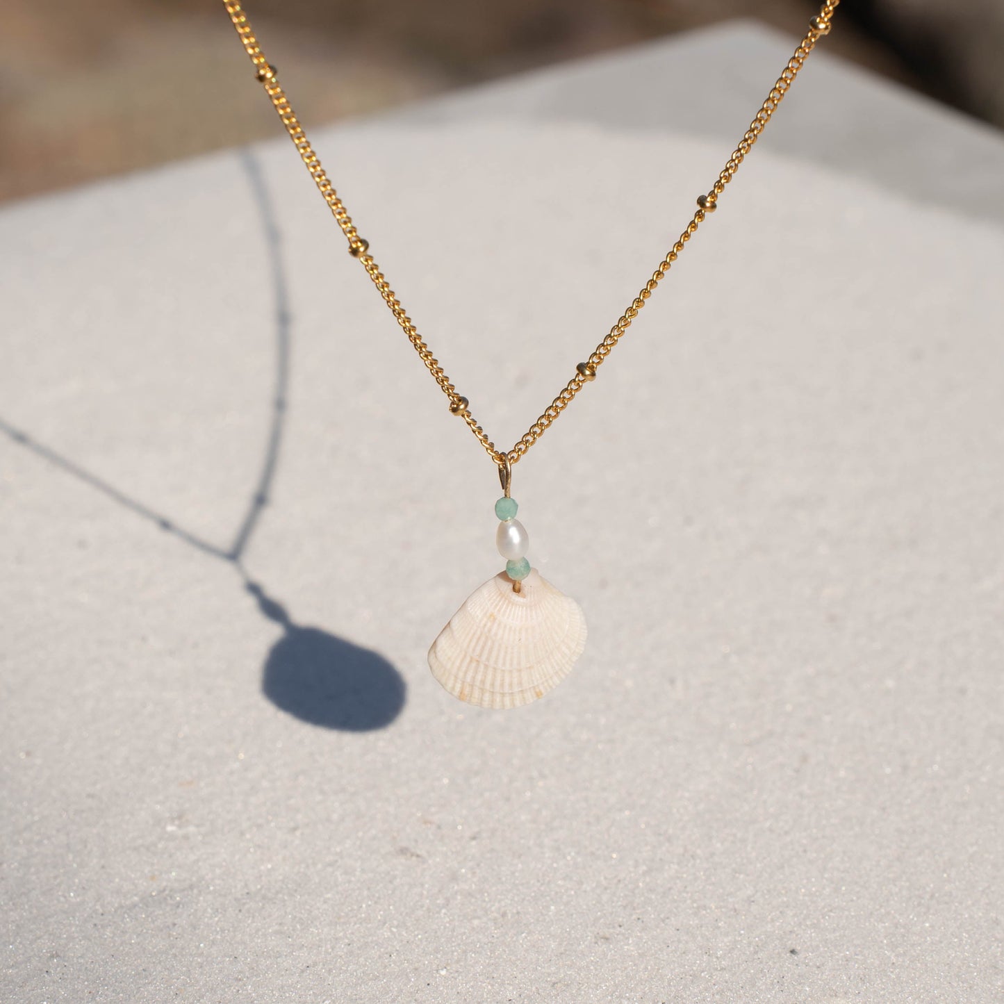 Venus Shell Necklace