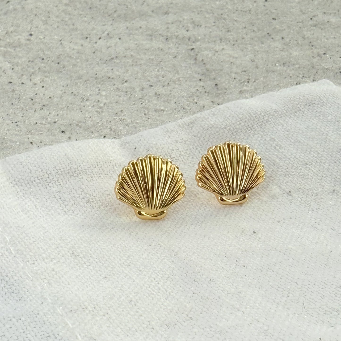 Clam Shell Earrings