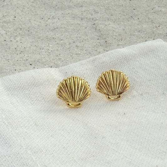 Clam Shell Earrings