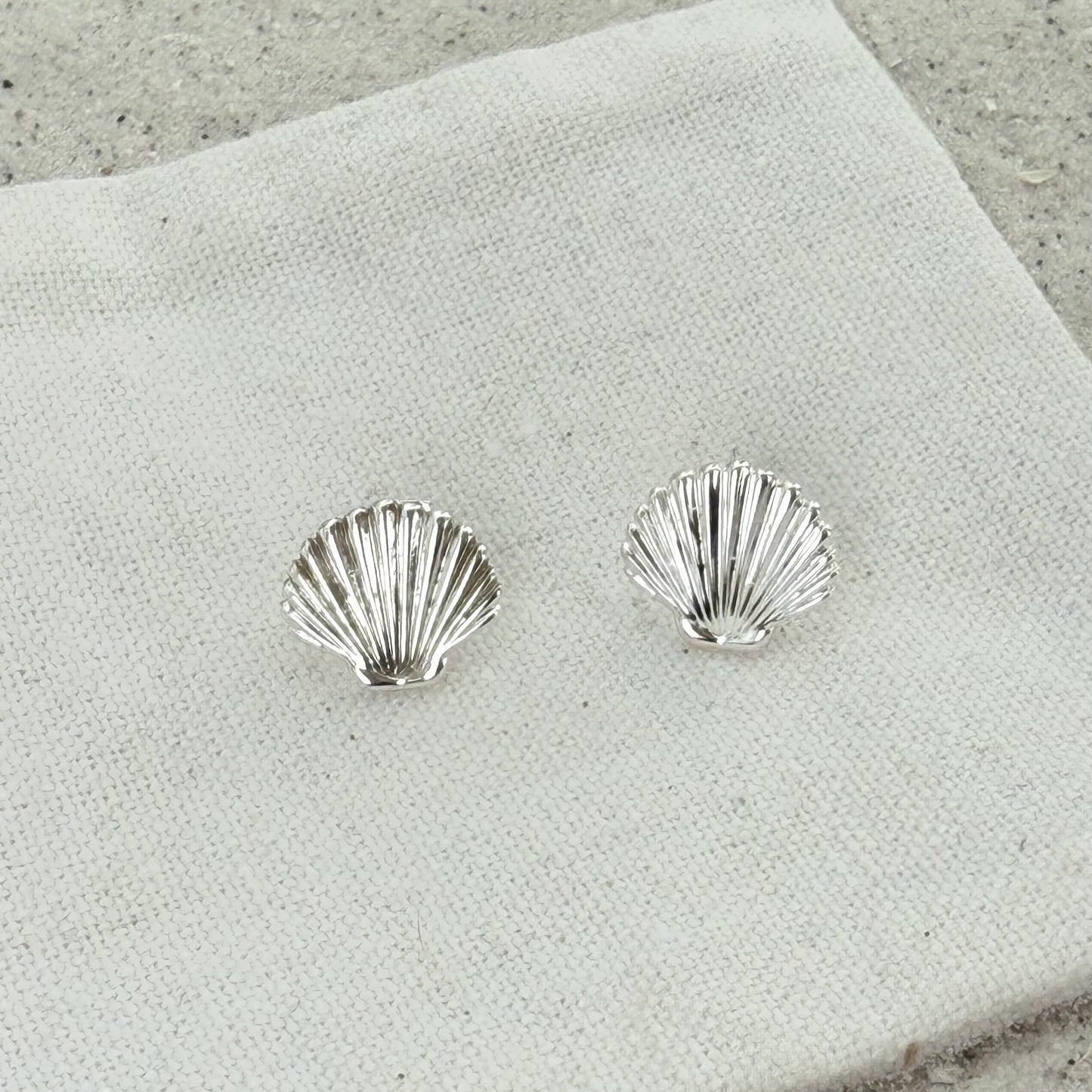 Clam Shell Earrings