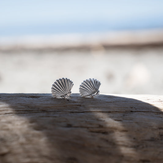 Clam Shell Earrings