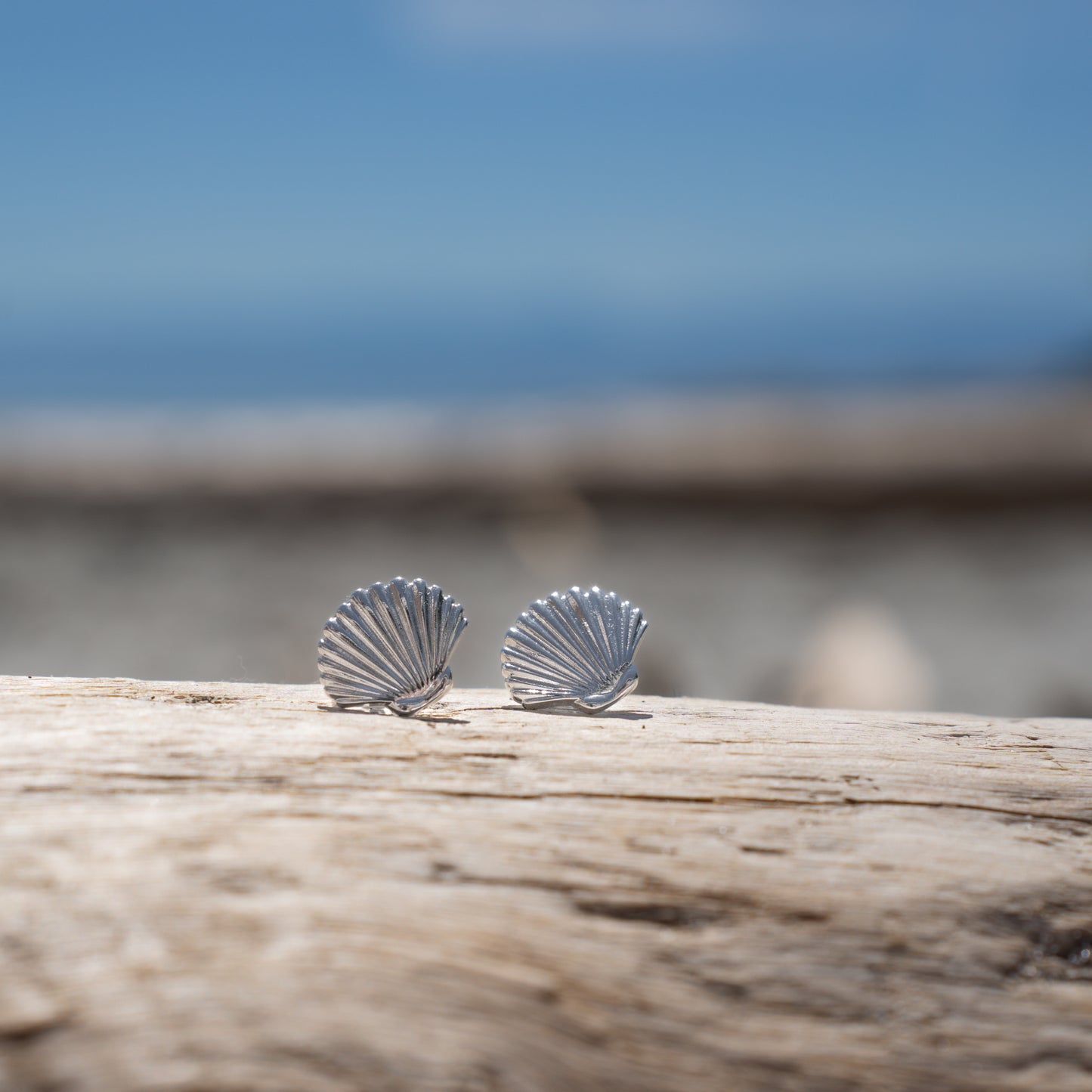 Clam Shell Earrings