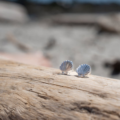 Clam Shell Earrings