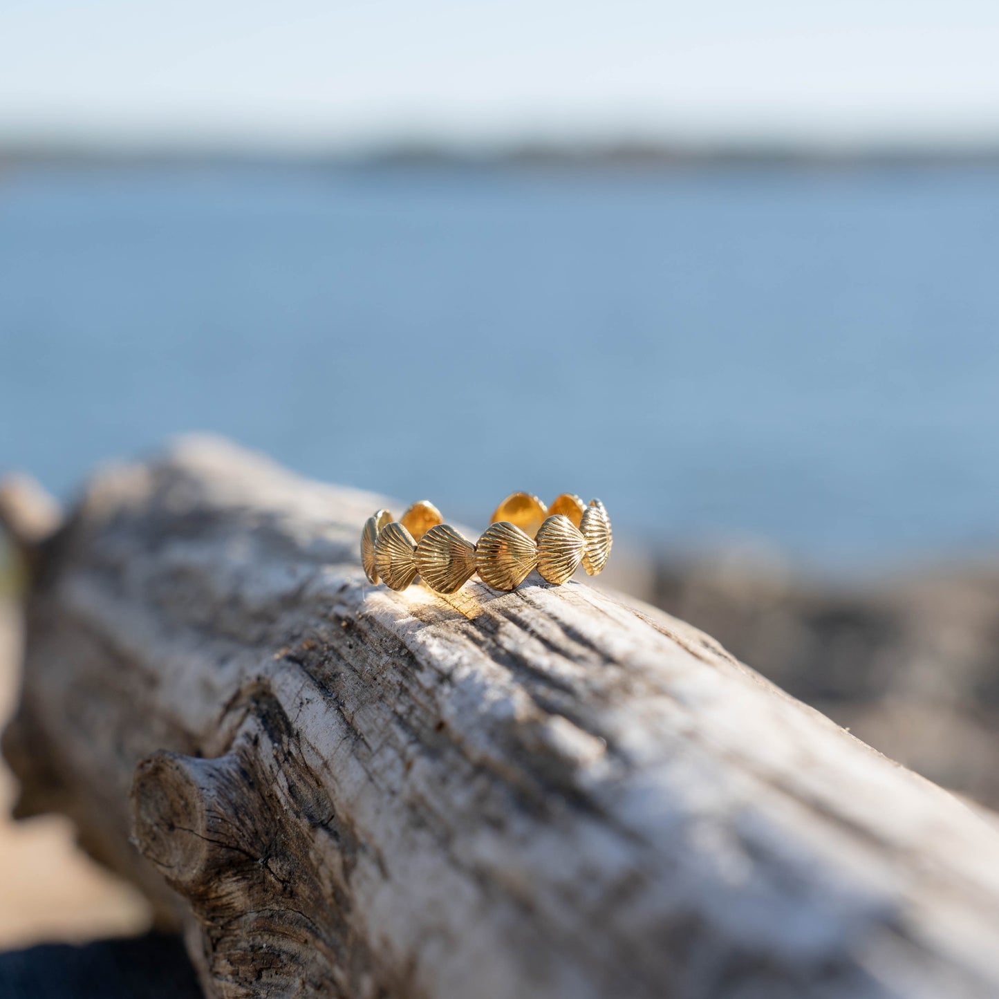 Scallop Adjustable Ring