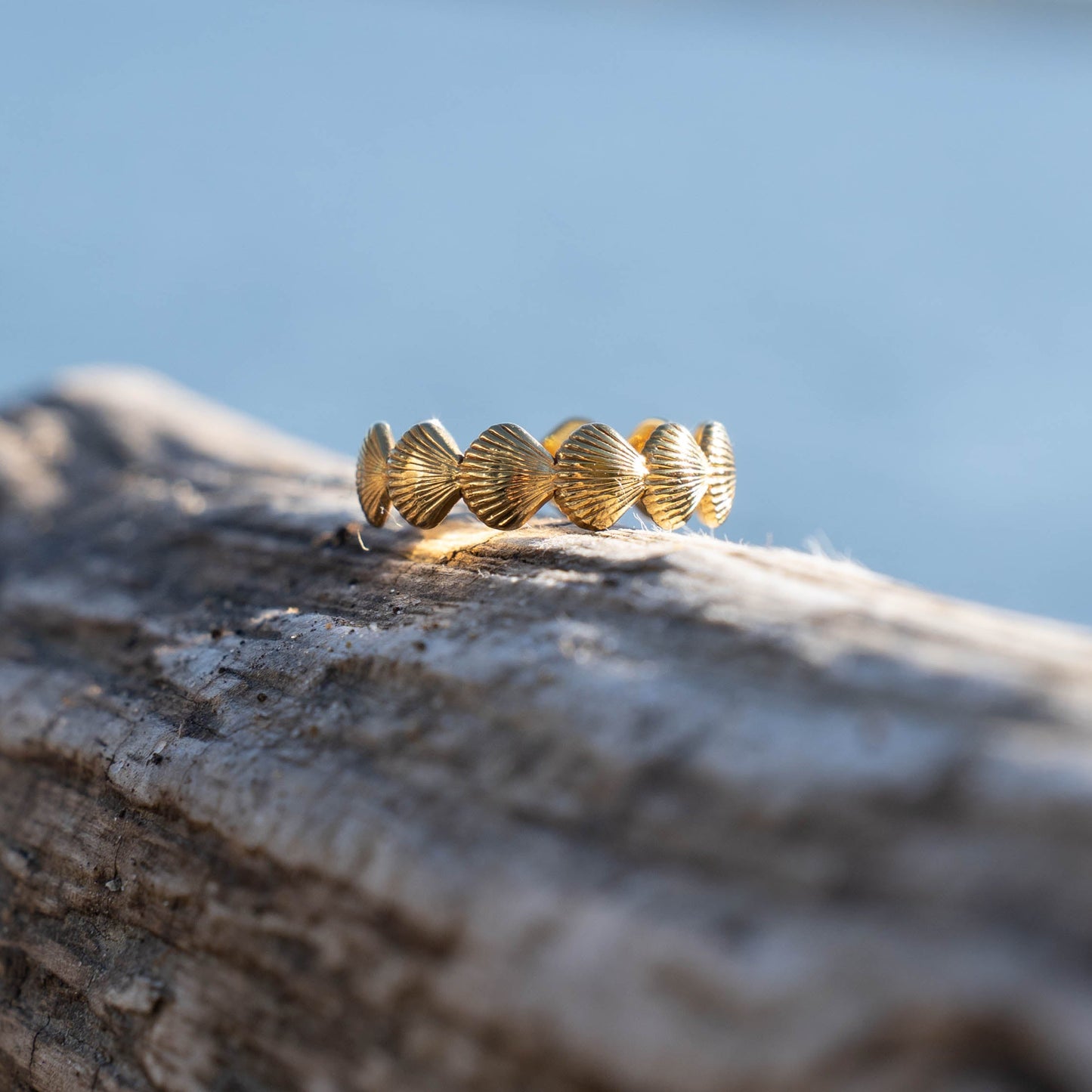 Scallop Adjustable Ring