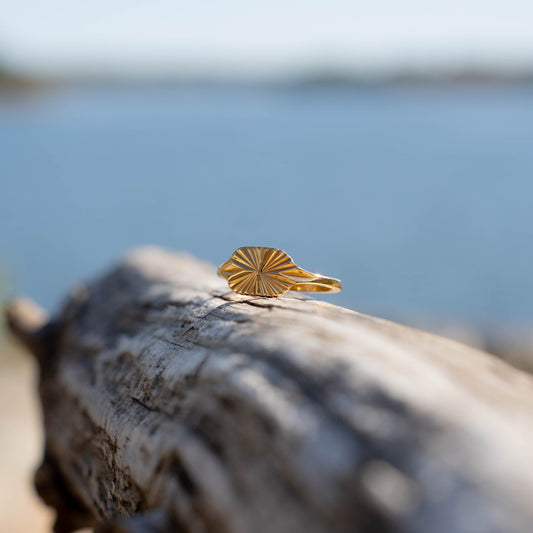 Signet Gold Ring