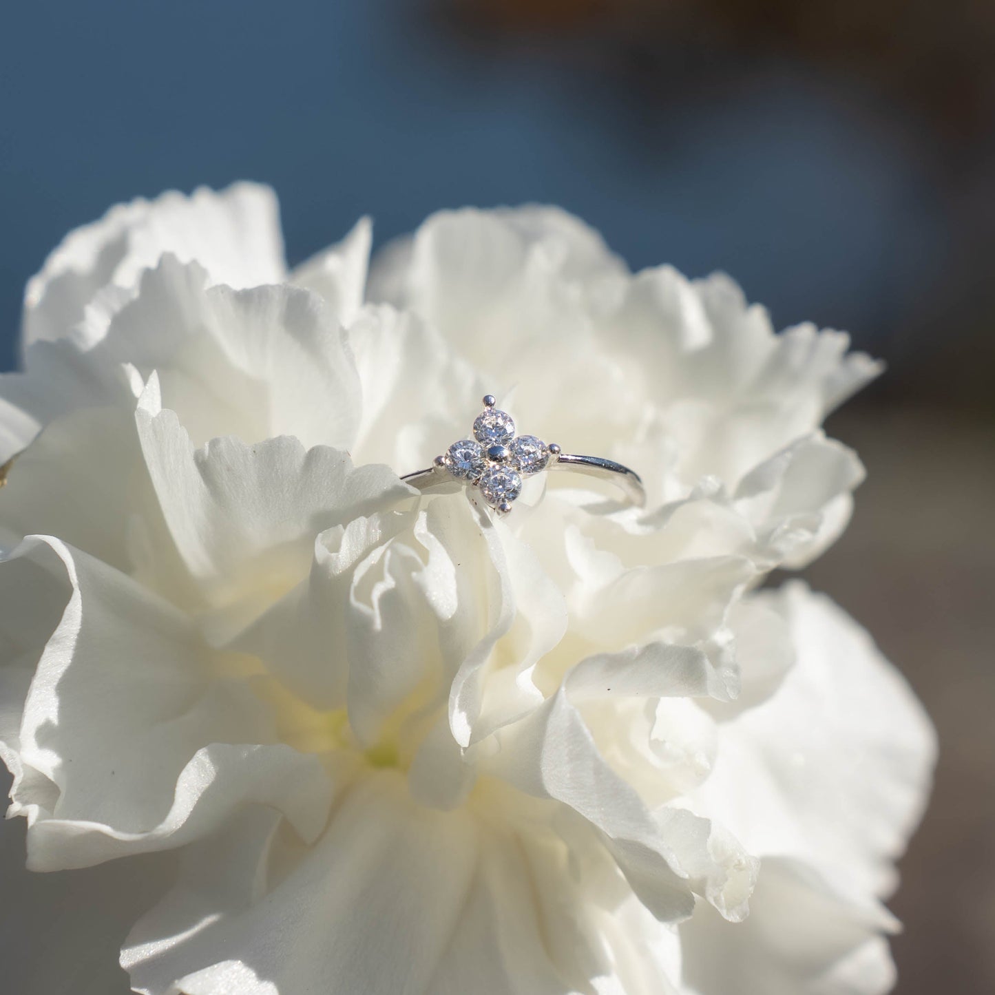 Sterling Cloverlight Ring