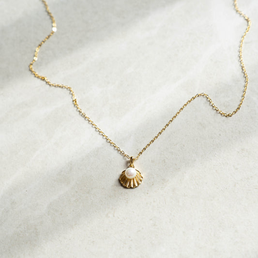 Aurea Shell Necklace