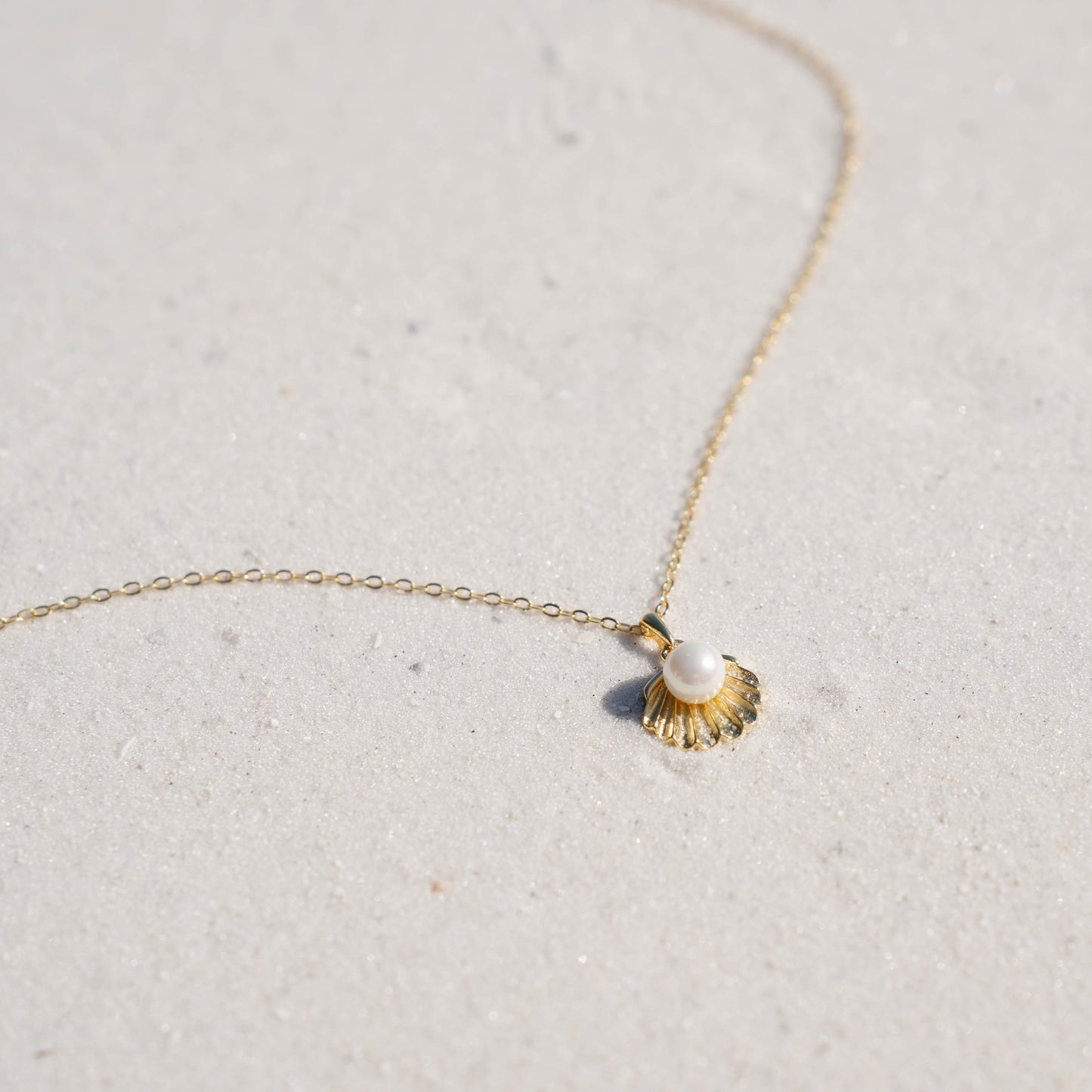 Aurea Shell Necklace