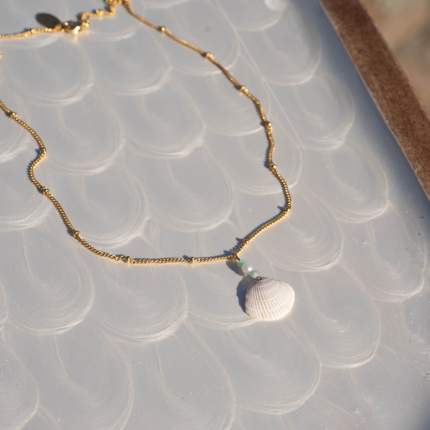 Venus Shell Necklace