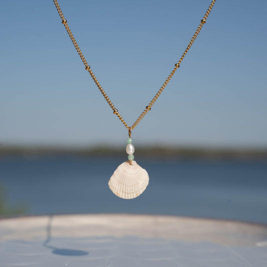 Venus Shell Necklace