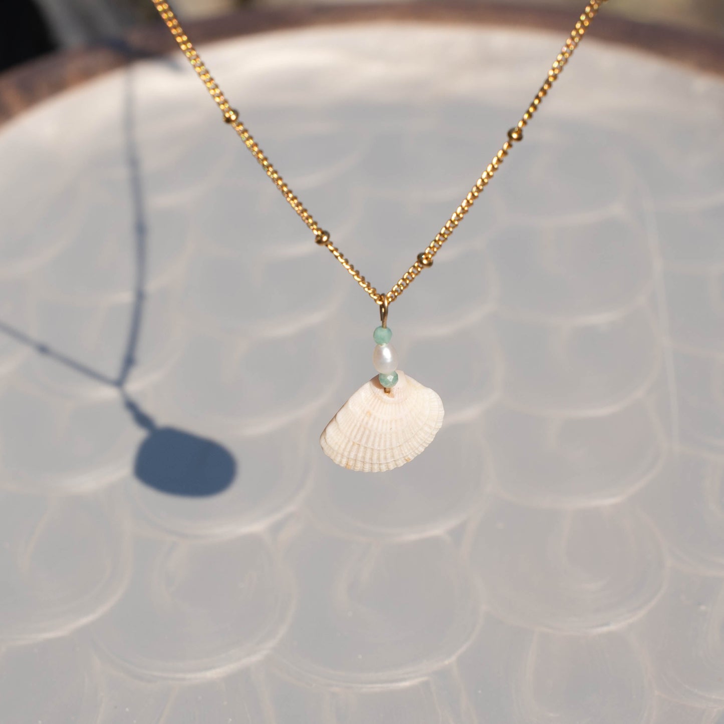 Venus Shell Necklace