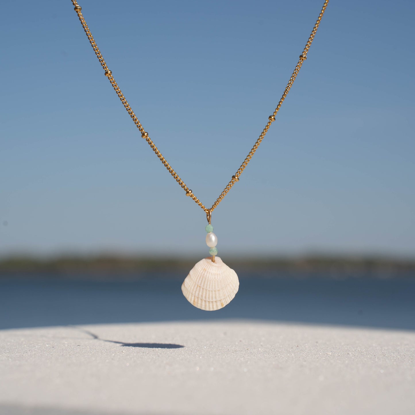 Venus Shell Necklace